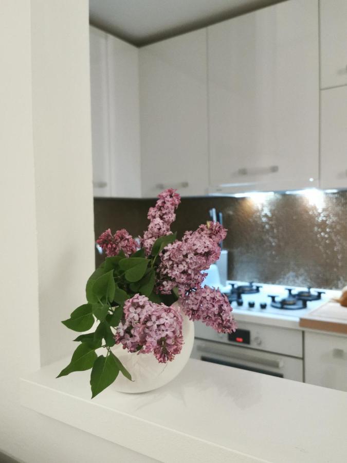 Kenzo Apartment 塞尼 外观 照片